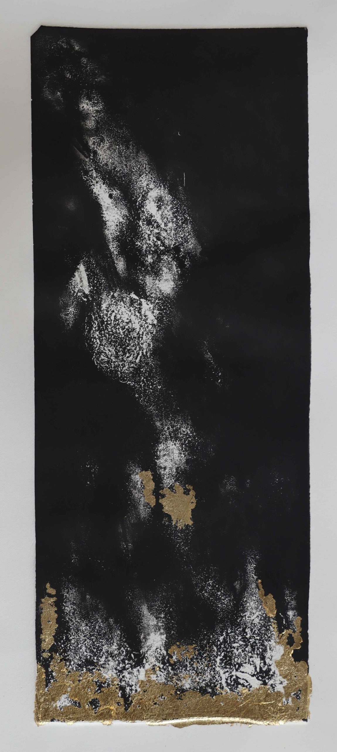 Website-19