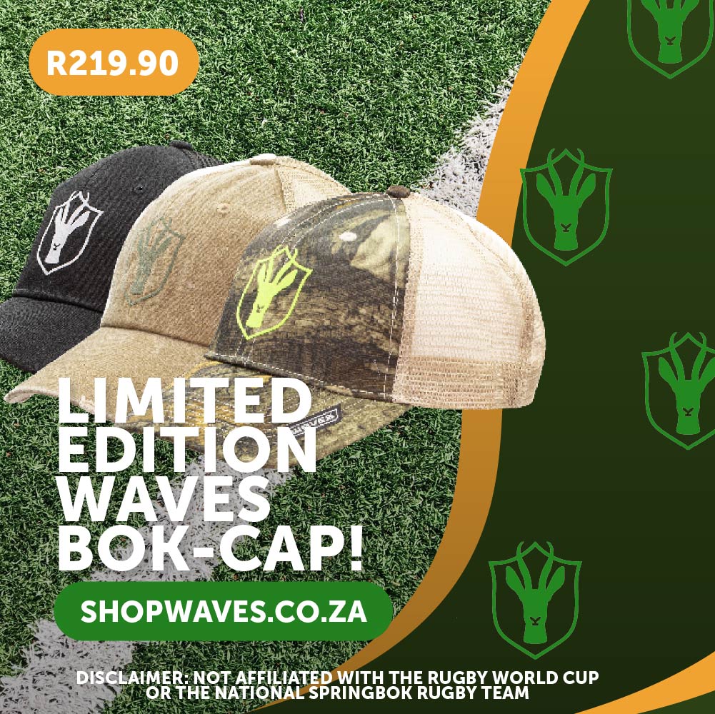 SPRINGBOK SINGLE-50